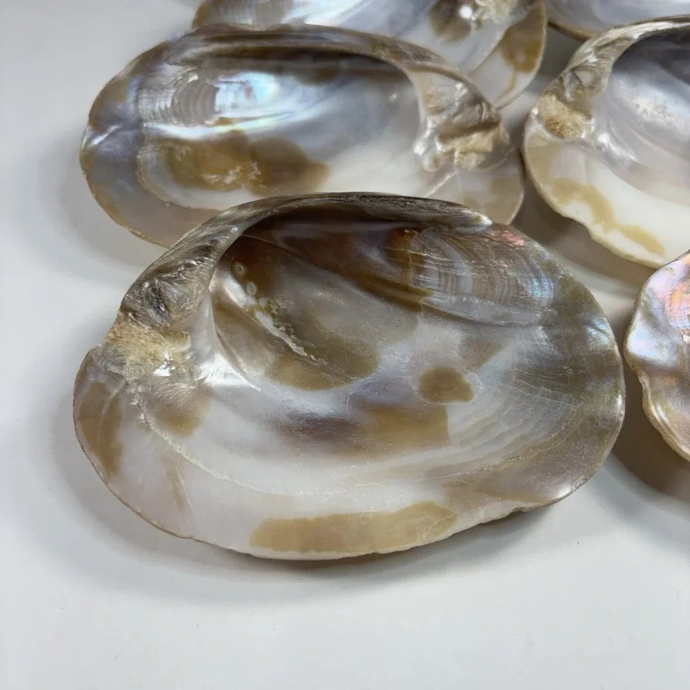 Vtg‎ Mother Of Pearl Seafood Cocktail Shells Set Of 8